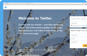 twitter twitter