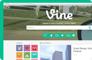 vine vine
